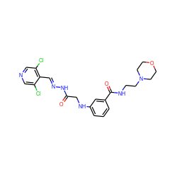 O=C(CNc1cccc(C(=O)NCCN2CCOCC2)c1)N/N=C/c1c(Cl)cncc1Cl ZINC000034893273