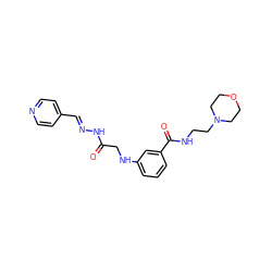 O=C(CNc1cccc(C(=O)NCCN2CCOCC2)c1)N/N=C/c1ccncc1 ZINC000201287187