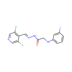 O=C(CNc1cccc(I)c1)N/N=C/c1c(Cl)cncc1Cl ZINC000201288090