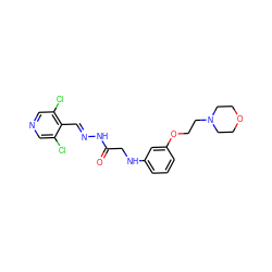 O=C(CNc1cccc(OCCN2CCOCC2)c1)N/N=C/c1c(Cl)cncc1Cl ZINC000142167910