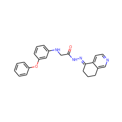 O=C(CNc1cccc(Oc2ccccc2)c1)N/N=C1\CCCc2cnccc21 ZINC001772633085
