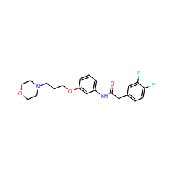 O=C(Cc1ccc(F)c(F)c1)Nc1cccc(OCCCN2CCOCC2)c1 ZINC000043061061