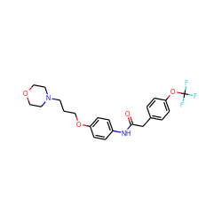 O=C(Cc1ccc(OC(F)(F)F)cc1)Nc1ccc(OCCCN2CCOCC2)cc1 ZINC000043024215