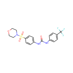 O=C(Nc1ccc(C(F)(F)F)cc1)Nc1ccc(S(=O)(=O)N2CCOCC2)cc1 ZINC000049112204