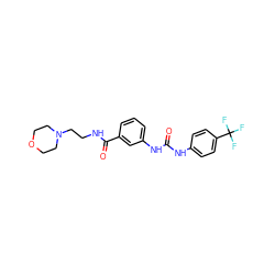 O=C(Nc1ccc(C(F)(F)F)cc1)Nc1cccc(C(=O)NCCN2CCOCC2)c1 ZINC000049111035