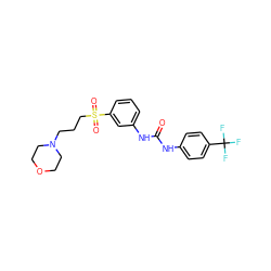 O=C(Nc1ccc(C(F)(F)F)cc1)Nc1cccc(S(=O)(=O)CCCN2CCOCC2)c1 ZINC000049049995