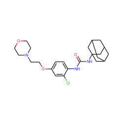 O=C(Nc1ccc(OCCN2CCOCC2)cc1Cl)NC12CC3CC(CC(C3)C1)C2 ZINC000084669935