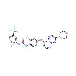 O=C(Nc1ccc(Oc2ccnc3nc(N4CCOCC4)cnc23)cc1F)Nc1cc(C(F)(F)F)ccc1F ZINC000058538387