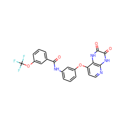 O=C(Nc1cccc(Oc2ccnc3[nH]c(=O)c(=O)[nH]c23)c1)c1cccc(OC(F)(F)F)c1 ZINC000058541519