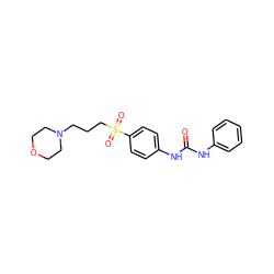 O=C(Nc1ccccc1)Nc1ccc(S(=O)(=O)CCCN2CCOCC2)cc1 ZINC000049053865