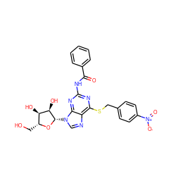 O=C(Nc1nc(SCc2ccc([N+](=O)[O-])cc2)c2ncn([C@@H]3O[C@H](CO)[C@@H](O)[C@H]3O)c2n1)c1ccccc1 ZINC000028875813