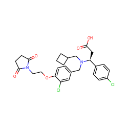 O=C(O)C[C@@H](c1ccc(Cl)cc1)N(Cc1ccc(OCCN2C(=O)CCC2=O)c(Cl)c1)CC1CCC1 ZINC000207181213