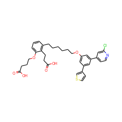 O=C(O)CCCOc1cccc(CCCCCCOc2cc(-c3ccsc3)cc(-c3ccnc(Cl)c3)c2)c1CCC(=O)O ZINC000049774785