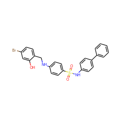 O=S(=O)(Nc1ccc(-c2ccccc2)cc1)c1ccc(NCc2ccc(Br)cc2O)cc1 ZINC000103268223