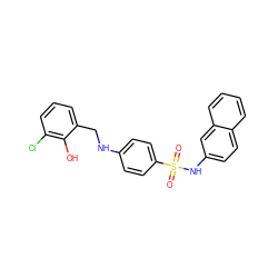 O=S(=O)(Nc1ccc2ccccc2c1)c1ccc(NCc2cccc(Cl)c2O)cc1 ZINC000103266580