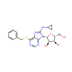 OC[C@H]1O[C@@H](n2c(NC3CC3)nc3c(SCc4ccccc4)ncnc32)[C@H](O)[C@@H]1O ZINC000013607486