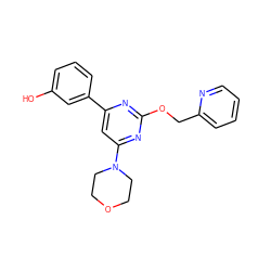Oc1cccc(-c2cc(N3CCOCC3)nc(OCc3ccccn3)n2)c1 ZINC000066251984
