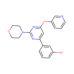 Oc1cccc(-c2cc(Oc3cccnc3)nc(N3CCOCC3)n2)c1 ZINC000064573286
