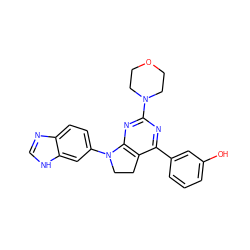 Oc1cccc(-c2nc(N3CCOCC3)nc3c2CCN3c2ccc3nc[nH]c3c2)c1 ZINC000066074541