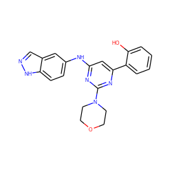Oc1ccccc1-c1cc(Nc2ccc3[nH]ncc3c2)nc(N2CCOCC2)n1 ZINC000064559519