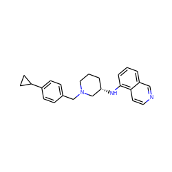 c1cc(N[C@H]2CCCN(Cc3ccc(C4CC4)cc3)C2)c2ccncc2c1 ZINC000114335898
