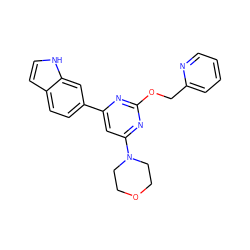 c1ccc(COc2nc(-c3ccc4cc[nH]c4c3)cc(N3CCOCC3)n2)nc1 ZINC000060325361